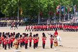 The Colonel's Review 2013: The March Past in Quick Time. No. 1 Guard, the Escort to the Colour,1st Battalion Welsh Guards,  marching along the Mounted Bands of the Household Cavalry..
Horse Guards Parade, Westminster,
London SW1,

United Kingdom,
on 08 June 2013 at 11:46, image #703