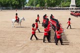 The Colonel's Review 2013: The March Past in Quick Time - Coldstream Guards..
Horse Guards Parade, Westminster,
London SW1,

United Kingdom,
on 08 June 2013 at 11:44, image #697