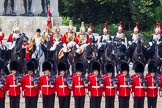 The Colonel's Review 2013: The Household Cavalry is back to their initial position on the norther side of Horse Guards Parade..
Horse Guards Parade, Westminster,
London SW1,

United Kingdom,
on 08 June 2013 at 12:00, image #795