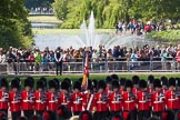 The Colonel's Review 2013: The Ensign, Second Lieutenant Joel Dinwiddle, and the Escort to the Colour..
Horse Guards Parade, Westminster,
London SW1,

United Kingdom,
on 08 June 2013 at 12:00, image #799