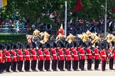 The Colonel's Review 2013: The Mounted Bands of the Household Cavalry are ready to leave, they follow the Royal Horse Artillery to march off via The Mall..
Horse Guards Parade, Westminster,
London SW1,

United Kingdom,
on 08 June 2013 at 12:02, image #806