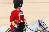 The Colonel's Review 2013: The Field Officer in Brigade Waiting, Lieutenant Colonel Dino Bossi, Welsh Guards, rides towards the dais to ask HM The Queen's permission to march off..
Horse Guards Parade, Westminster,
London SW1,

United Kingdom,
on 08 June 2013 at 12:06, image #823