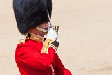 The Colonel's Review 2013: The Field Officer in Brigade Waiting, Lieutenant Colonel Dino Bossi, Welsh Guards, salutes Her Majesty before asking permission to march off..
Horse Guards Parade, Westminster,
London SW1,

United Kingdom,
on 08 June 2013 at 12:06, image #825