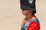 The Colonel's Review 2013: HRH The Prince of Wales, as Royal Colonel, before the March Off..
Horse Guards Parade, Westminster,
London SW1,

United Kingdom,
on 08 June 2013 at 12:08, image #835