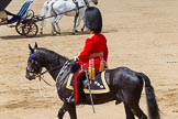 The Colonel's Review 2013: Major General Commanding the Household Division and General Officer Commanding London District, Major George Norton marching off..
Horse Guards Parade, Westminster,
London SW1,

United Kingdom,
on 08 June 2013 at 12:08, image #840