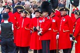 The Colonel's Review 2013.
Horse Guards Parade, Westminster,
London SW1,

United Kingdom,
on 08 June 2013 at 12:14, image #882