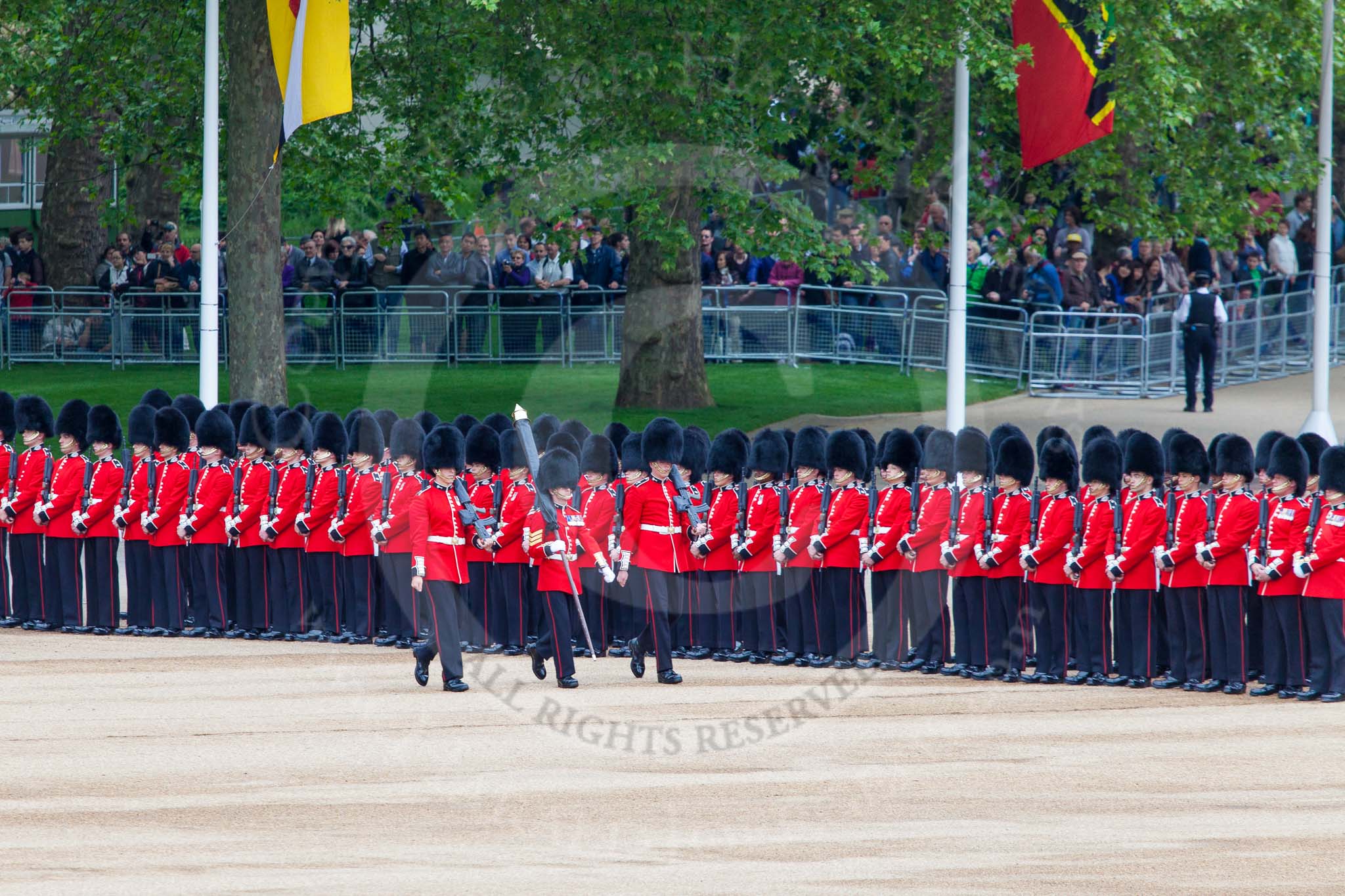 Major General's Review 2013: Colour Sergeant R J Heath, carrying the Colour and two sentries marching to their position on Horse Guards Parade..
Horse Guards Parade, Westminster,
London SW1,

United Kingdom,
on 01 June 2013 at 10:30, image #112