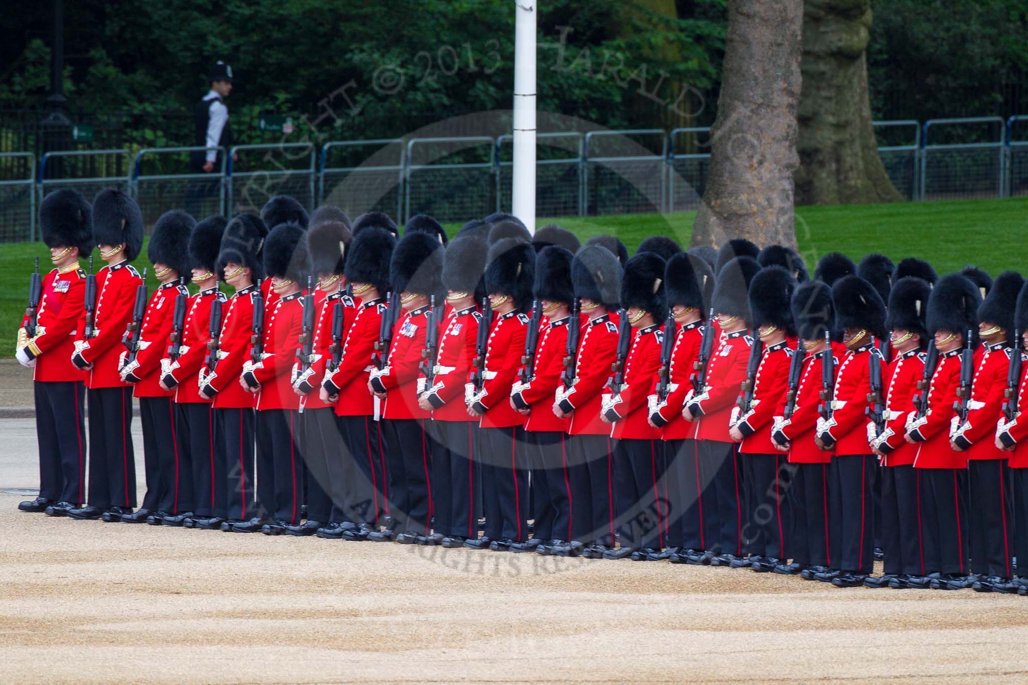 Major General's Review 2013: No.4 Guard, Nijmegan company Grenadier Guards..
Horse Guards Parade, Westminster,
London SW1,

United Kingdom,
on 01 June 2013 at 10:34, image #142