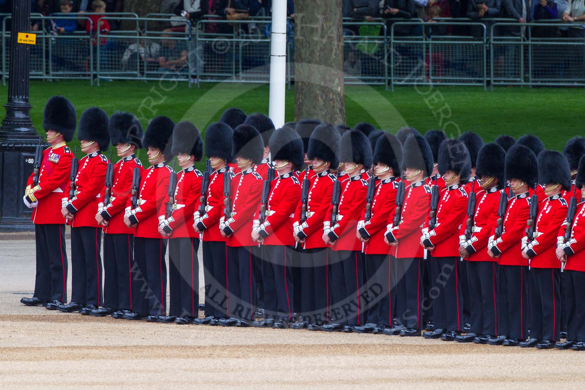 Major General's Review 2013: No.5 Guard F Comapny Scots Guards..
Horse Guards Parade, Westminster,
London SW1,

United Kingdom,
on 01 June 2013 at 10:35, image #143