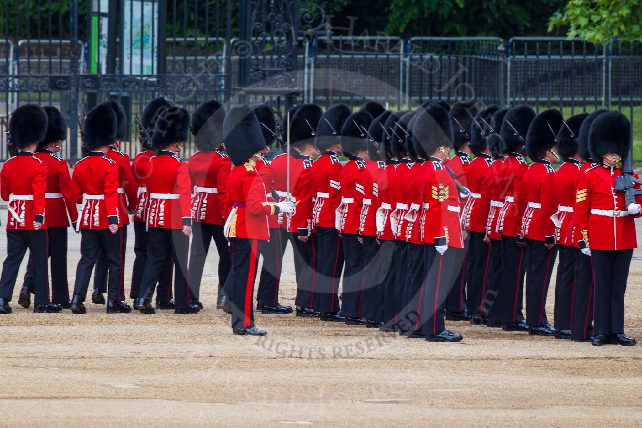 Major General's Review 2013: No. 3 Guard, 1st Battalion Welsh Guards, is opening a gap in the line for members of the Royal Family to arrive..
Horse Guards Parade, Westminster,
London SW1,

United Kingdom,
on 01 June 2013 at 10:43, image #184