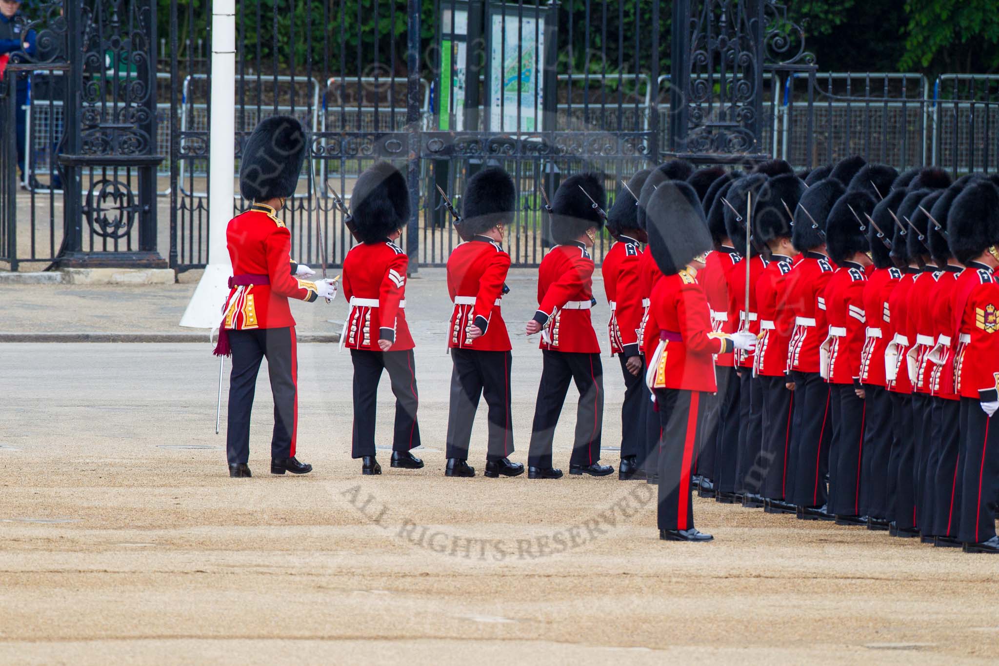 Major General's Review 2013: No. 3 Guard, 1st Battalion Welsh Guards, is opening a gap in the line for members of the Royal Family to arrive..
Horse Guards Parade, Westminster,
London SW1,

United Kingdom,
on 01 June 2013 at 10:44, image #186