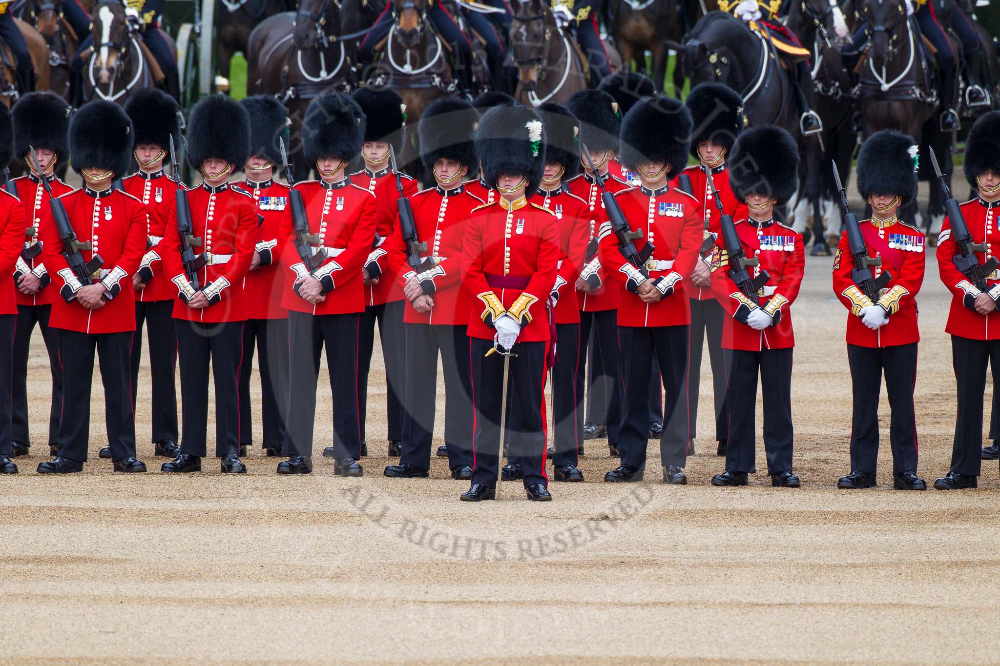 Major General's Review 2013: No. 1 Guard, 1 st Battalion Welsh Guards with Captain F O Lloyd-George..
Horse Guards Parade, Westminster,
London SW1,

United Kingdom,
on 01 June 2013 at 10:46, image #191
