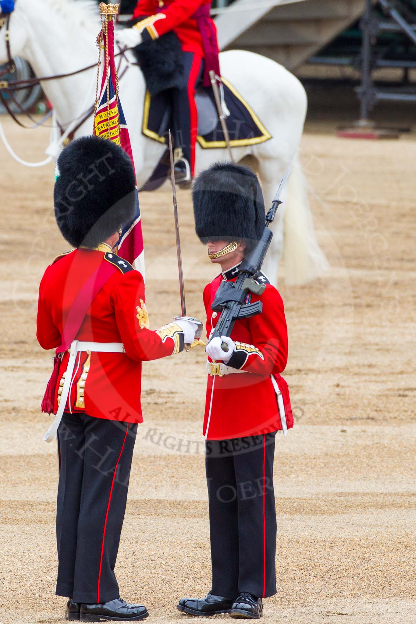 Major General's Review 2013: The Colour has been handed over from Colour Sergeant R J Heath, Welsh Guard to the Regimental Sergeant Major, WO1 Martin Topps, Welsh Guards. He now presents the Colour to the Ensign, Ensign, Second Lieutenant Joel Dinwiddle..
Horse Guards Parade, Westminster,
London SW1,

United Kingdom,
on 01 June 2013 at 11:18, image #396
