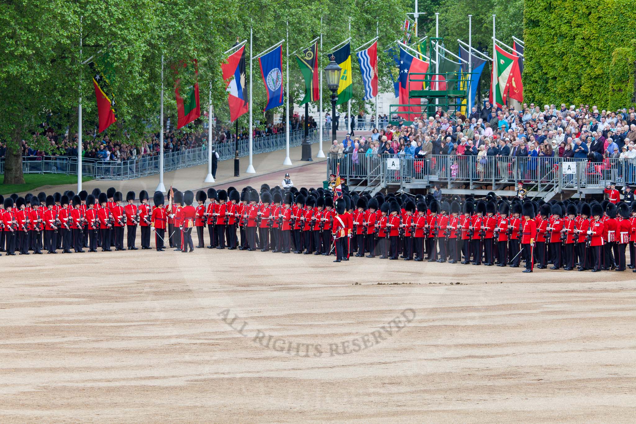 Major General's Review 2013: The Escort to the Colour troops the Colour past No. 6 Guard, No.7 Company  Coldstream Guards..
Horse Guards Parade, Westminster,
London SW1,

United Kingdom,
on 01 June 2013 at 11:23, image #424