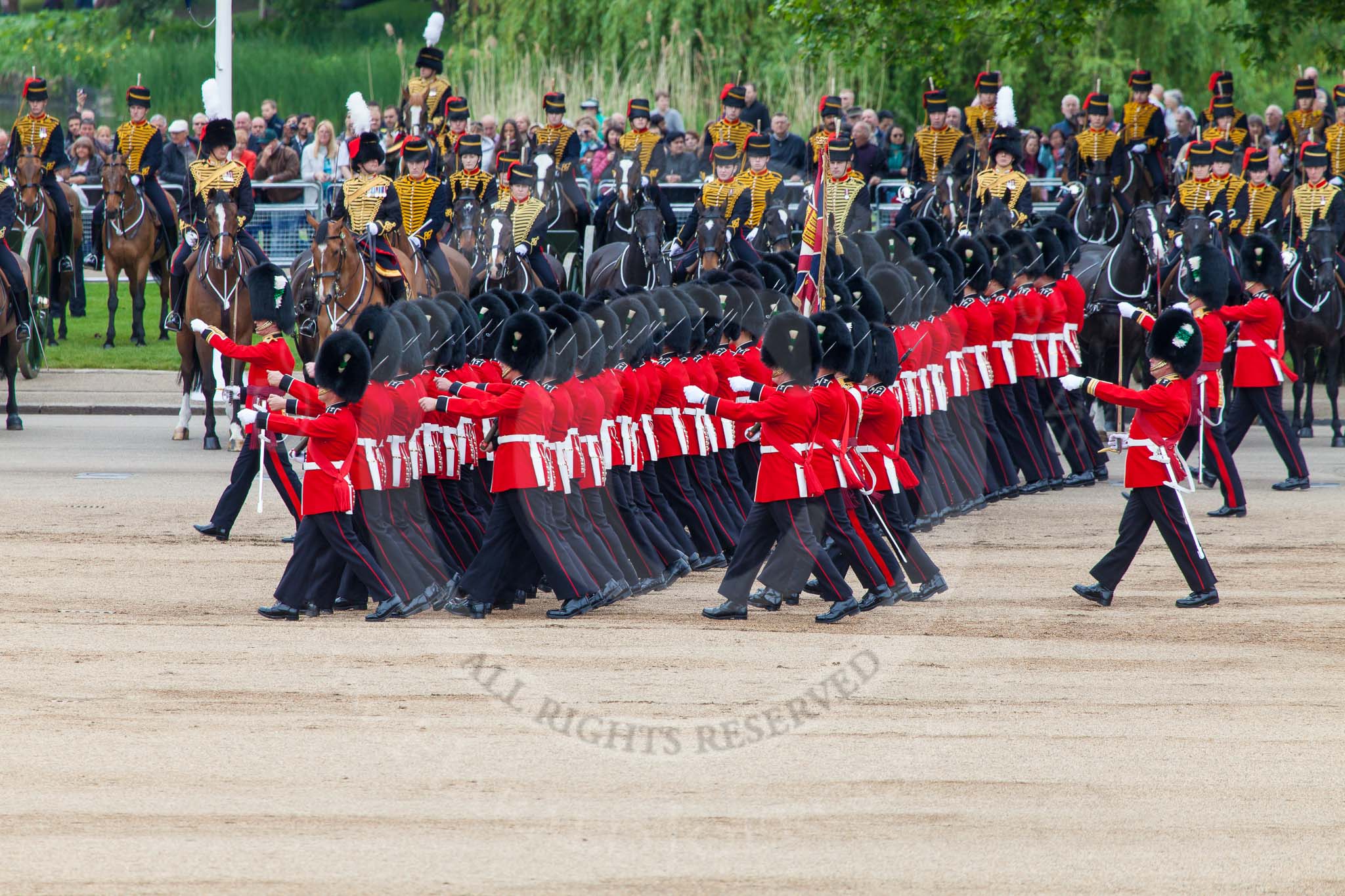 Major General's Review 2013: No. 1 Guard (Escort for the Colour),1st Battalion Welsh Guards, during the March Past in Quick Time. Behind them The King's Troop Royal Horse Artillery..
Horse Guards Parade, Westminster,
London SW1,

United Kingdom,
on 01 June 2013 at 11:40, image #527