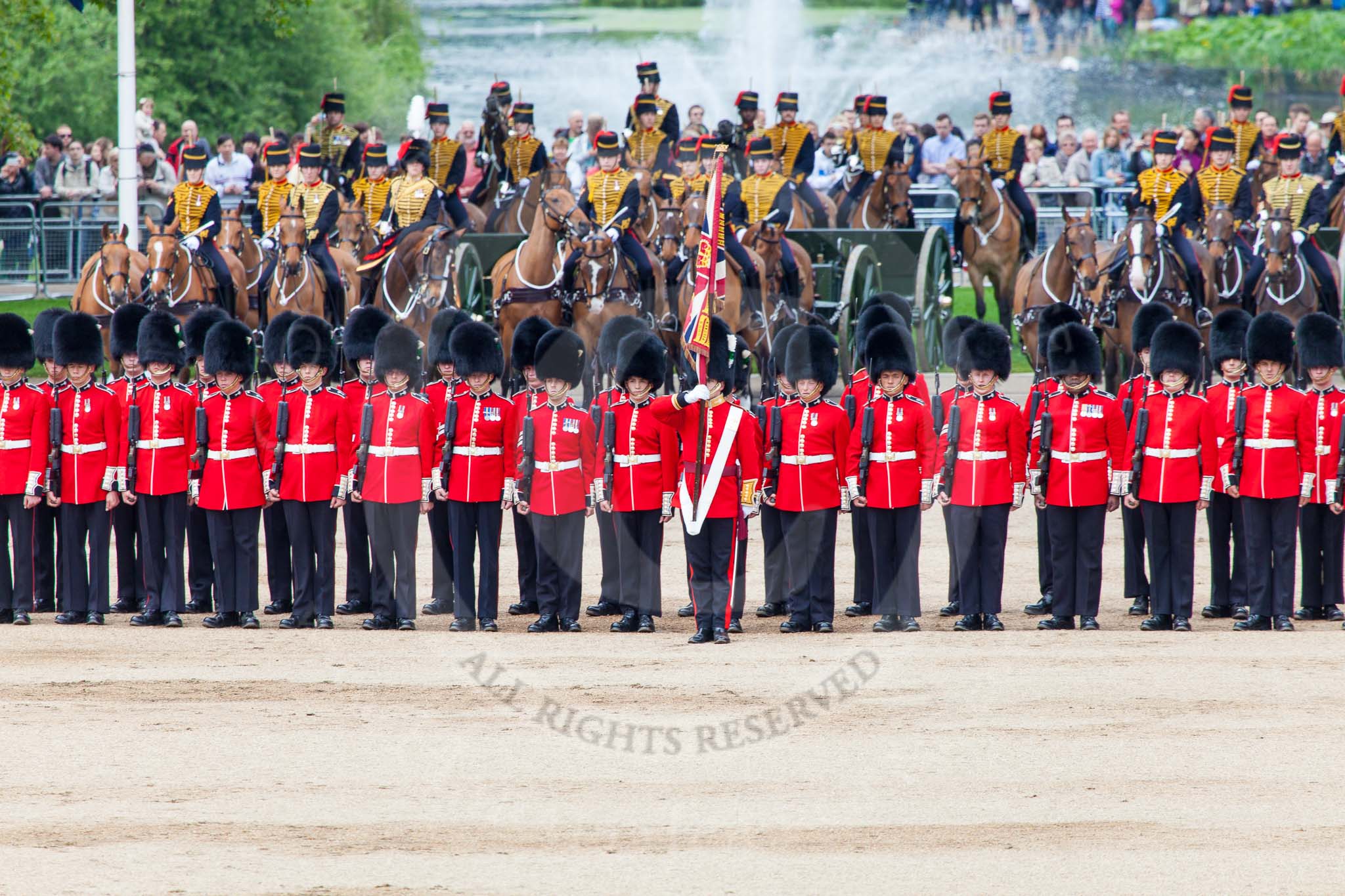 Major General's Review 2013: The Ensign, Second Lieutenant Joel Dinwiddle, and the Escort to the Colour. Behind the King's Troop Royal Horse Artillery..
Horse Guards Parade, Westminster,
London SW1,

United Kingdom,
on 01 June 2013 at 11:48, image #562