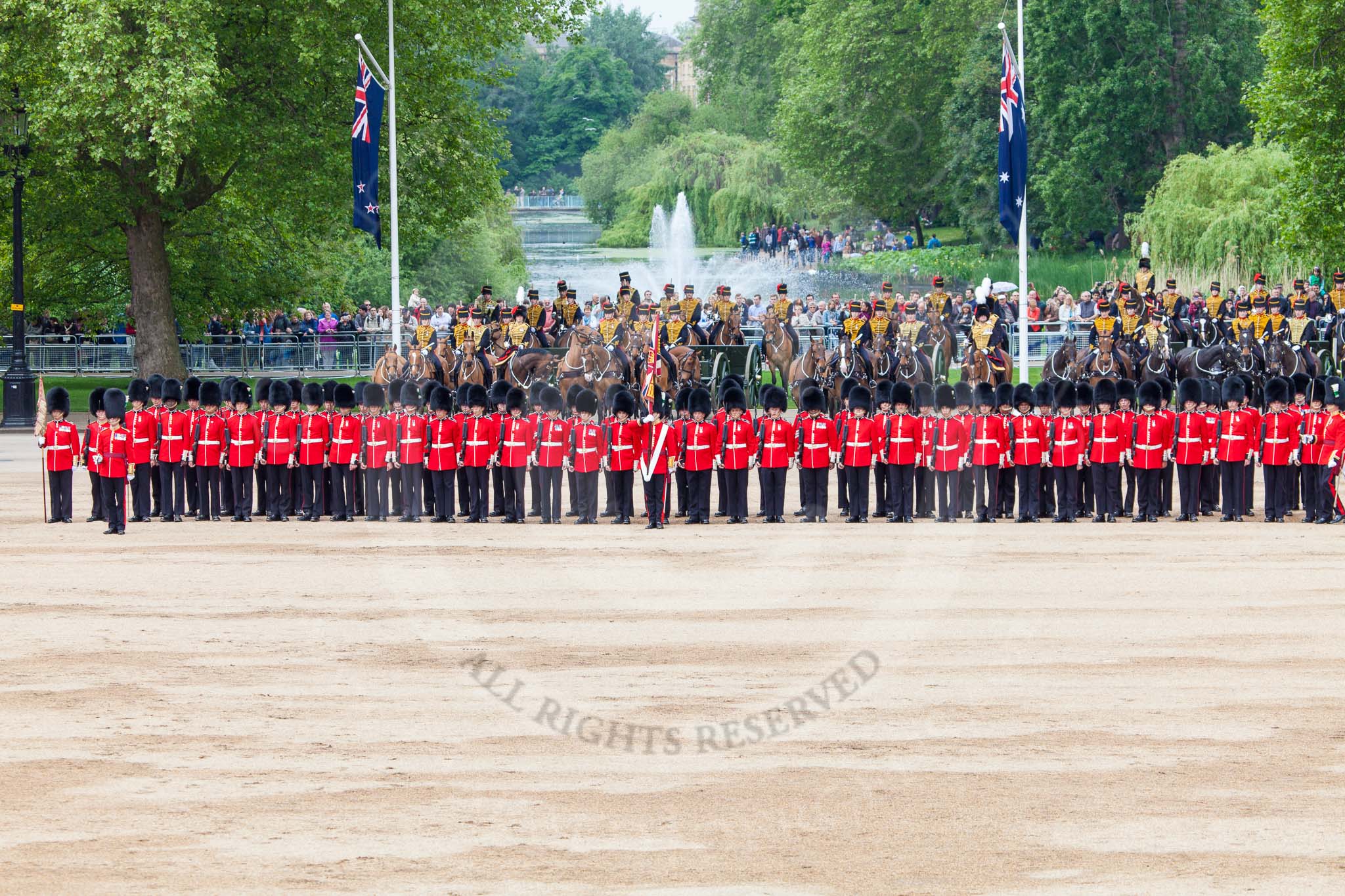 Major General's Review 2013: The Ensign, Second Lieutenant Joel Dinwiddle, and the Escort to the Colour. Behind the King's Troop Royal Horse Artillery..
Horse Guards Parade, Westminster,
London SW1,

United Kingdom,
on 01 June 2013 at 11:48, image #563
