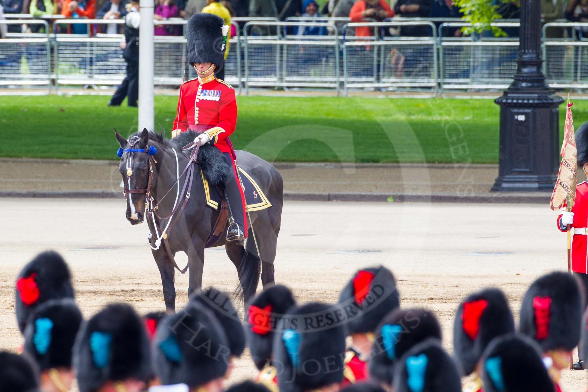 Major General's Review 2013: The Major of the Parade, Major H G C Bettinson, Welsh Guards..
Horse Guards Parade, Westminster,
London SW1,

United Kingdom,
on 01 June 2013 at 12:01, image #673