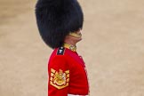 Major General's Review 2013: WO1 Garrison Sergeant Major William 'Bill' Mott OBE MVO, Welsh Guards..
Horse Guards Parade, Westminster,
London SW1,

United Kingdom,
on 01 June 2013 at 10:05, image #27