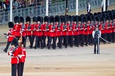 Major General's Review 2013: No. 6 Guard, No. 7 Company Coldstream Guards are arriving from The Mall, and turning left onto Horse Guards Parade..
Horse Guards Parade, Westminster,
London SW1,

United Kingdom,
on 01 June 2013 at 10:23, image #73