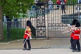 Major General's Review 2013: Drum Major Stephen Staite, Grenadier Guards, leading the Band of the Scots Guards onto Horse Guards Parade..
Horse Guards Parade, Westminster,
London SW1,

United Kingdom,
on 01 June 2013 at 10:24, image #80