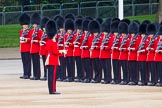 Major General's Review 2013: Lieutenant H C Cartwright with No. 4 Guard,Nijmegen Company Grenadier Guards..
Horse Guards Parade, Westminster,
London SW1,

United Kingdom,
on 01 June 2013 at 10:29, image #108