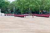 Major General's Review 2013: Drum Major Neill Lawman, Welsh Guards, leading the Band of the Welsh Guards down Horse Guards Road, here passing No. 3 Guard, 1st Battalion Welsh Guards..
Horse Guards Parade, Westminster,
London SW1,

United Kingdom,
on 01 June 2013 at 10:30, image #111
