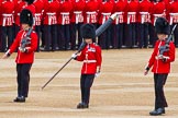 Major General's Review 2013: The Colour Party has reached their position on Horse Guards Parade - Colour Sergeant R J Heath, Welsh Guards, carrying the Colour, and the two sentries..
Horse Guards Parade, Westminster,
London SW1,

United Kingdom,
on 01 June 2013 at 10:31, image #118