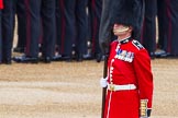 Major General's Review 2013: The Colour Party has reached their position on Horse Guards Parade - Colour Sergeant R J Heath, Welsh Guards, carrying the Colour..
Horse Guards Parade, Westminster,
London SW1,

United Kingdom,
on 01 June 2013 at 10:31, image #119