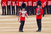 Major General's Review 2013: Welsh Guards Drummer approaching Colour Sergeant R J Heath, Welsh Guards, carrying the Colour and the two sentries..
Horse Guards Parade, Westminster,
London SW1,

United Kingdom,
on 01 June 2013 at 10:32, image #120