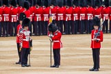 Major General's Review 2013: The Colour has been uncased..
Horse Guards Parade, Westminster,
London SW1,

United Kingdom,
on 01 June 2013 at 10:32, image #131