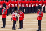 Major General's Review 2013: The Colour has been uncased..
Horse Guards Parade, Westminster,
London SW1,

United Kingdom,
on 01 June 2013 at 10:33, image #134