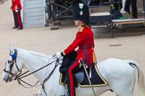 Major General's Review 2013: The Adjutant of the Parade, Captain C J P Davies, Welsh Guards..
Horse Guards Parade, Westminster,
London SW1,

United Kingdom,
on 01 June 2013 at 10:34, image #138