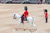 Major General's Review 2013: The Adjutant of the Parade, Captain C J P Davies, Welsh Guards..
Horse Guards Parade, Westminster,
London SW1,

United Kingdom,
on 01 June 2013 at 10:34, image #139