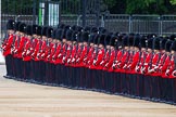 Major General's Review 2013: No.3 Guard, 1st Battalion Welsh Guards..
Horse Guards Parade, Westminster,
London SW1,

United Kingdom,
on 01 June 2013 at 10:34, image #141