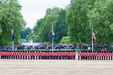 Major General's Review 2013: The King's Troop Royal Horse Artillery arriving on the northern side of Horse Guards Parade, with St James's Park in the background..
Horse Guards Parade, Westminster,
London SW1,

United Kingdom,
on 01 June 2013 at 10:38, image #158