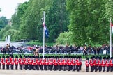Major General's Review 2013: The King's Troop Royal Horse Artillery arriving on the northern side of Horse Guards Parade, with St James's Park in the background..
Horse Guards Parade, Westminster,
London SW1,

United Kingdom,
on 01 June 2013 at 10:38, image #159