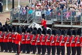 Major General's Review 2013: The Adjutant of the Parade, Captain C J P Davies, Welsh Guards..
Horse Guards Parade, Westminster,
London SW1,

United Kingdom,
on 01 June 2013 at 10:42, image #175