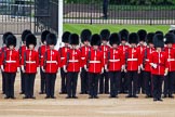 Major General's Review 2013: No. 2 Guard,1 st Battalion Welsh Guards with Captain B Bardsley..
Horse Guards Parade, Westminster,
London SW1,

United Kingdom,
on 01 June 2013 at 10:42, image #177