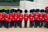 Major General's Review 2013: No. 2 Guard,1 st Battalion Welsh Guards and No.3 Guard 1 st Battalion Welsh Guards..
Horse Guards Parade, Westminster,
London SW1,

United Kingdom,
on 01 June 2013 at 10:42, image #178