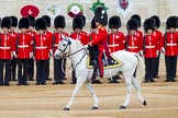 Major General's Review 2013: The Field Officer in Brigade Waiting, Lieutenant Colonel D L W Bossi, Welsh Guards..
Horse Guards Parade, Westminster,
London SW1,

United Kingdom,
on 01 June 2013 at 10:43, image #181