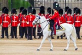 Major General's Review 2013: The Field Officer in Brigade Waiting, Lieutenant Colonel D L W Bossi, Welsh Guards..
Horse Guards Parade, Westminster,
London SW1,

United Kingdom,
on 01 June 2013 at 10:43, image #182