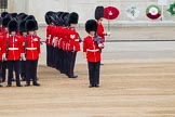 Major General's Review 2013: No. 3 Guard, 1st Battalion Welsh Guards, at the gap in the line for members of the Royal Family..
Horse Guards Parade, Westminster,
London SW1,

United Kingdom,
on 01 June 2013 at 10:44, image #188