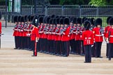 Major General's Review 2013: No. 3 Guard, 1st Battalion Welsh Guards, at the gap in the line for members of the Royal Family..
Horse Guards Parade, Westminster,
London SW1,

United Kingdom,
on 01 June 2013 at 10:44, image #189