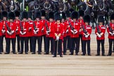 Major General's Review 2013: No. 1 Guard, 1 st Battalion Welsh Guards with Captain F O Lloyd-George..
Horse Guards Parade, Westminster,
London SW1,

United Kingdom,
on 01 June 2013 at 10:46, image #191