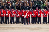 Major General's Review 2013: No. 1 Guard (Escort for the Colour),1st Battalion Welsh Guards, with the Ensign,Second Lieutenant Joel Dinwiddle in the centre, the King's Troop Royal Horse Artillery behind..
Horse Guards Parade, Westminster,
London SW1,

United Kingdom,
on 01 June 2013 at 10:46, image #192