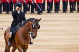 Major General's Review 2013: Two grooms are leading the line of carriages that will carry members of the Royal Family across Horse Guards Parade..
Horse Guards Parade, Westminster,
London SW1,

United Kingdom,
on 01 June 2013 at 10:51, image #204