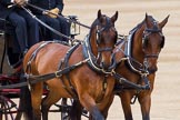 Major General's Review 2013: The carriages that will carry members of the Royal Family are on their way to Horse Guards Building..
Horse Guards Parade, Westminster,
London SW1,

United Kingdom,
on 01 June 2013 at 10:51, image #208