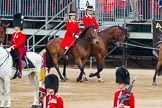 Major General's Review 2013: Two Grooms, The Royal Household..
Horse Guards Parade, Westminster,
London SW1,

United Kingdom,
on 01 June 2013 at 10:59, image #254