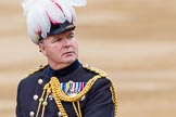 Major General's Review 2013: Chief of Staff, Colonel R H W St G Bodington, Welsh Guards..
Horse Guards Parade, Westminster,
London SW1,

United Kingdom,
on 01 June 2013 at 11:01, image #275